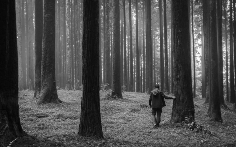 A solitary man stands in quiet reflection in a forest clearing-symbolising masculine stillness and soul searching